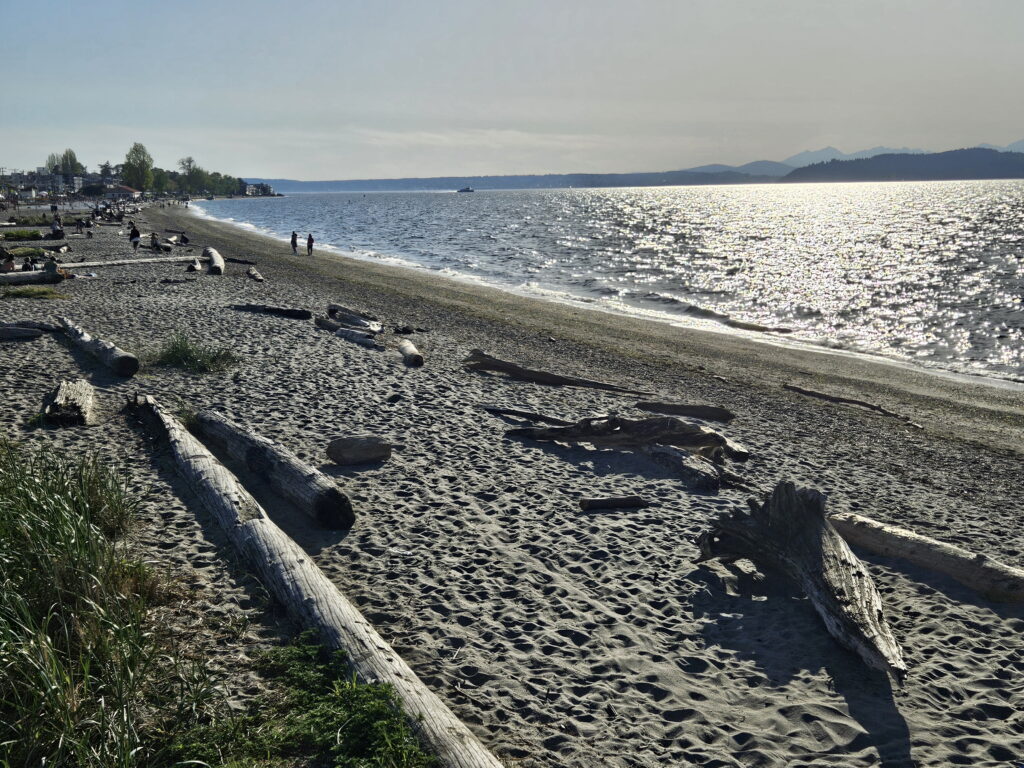 View of Alki Beach along the shorline from the east end of the beach