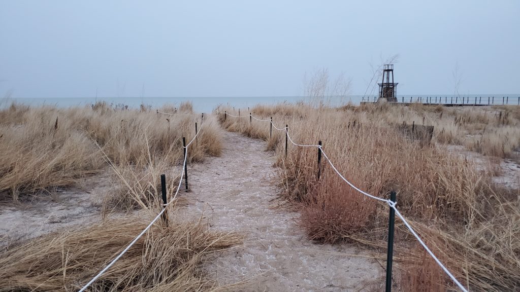 Loyola beach prairie grass path