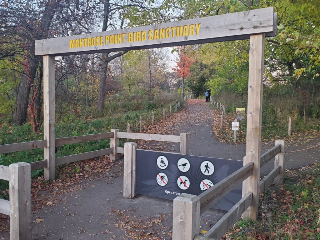 Magic Hedge bird sanctuary at Montrose Ledge