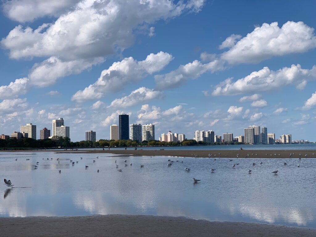 Looking north from Montrose beach, fluffy clouds frame the flat open water, with seagulls in a large puddle on the beach 